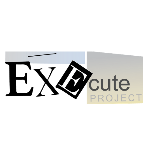 Execute Project